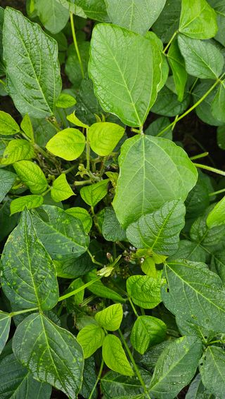 시아님의 자유주제 · 자유게시판 작성글 사진