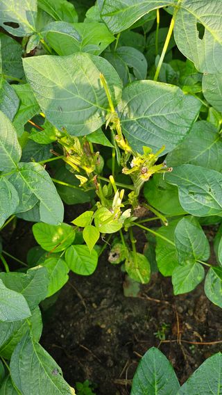 시아님의 자유주제 · 자유게시판 작성글 사진