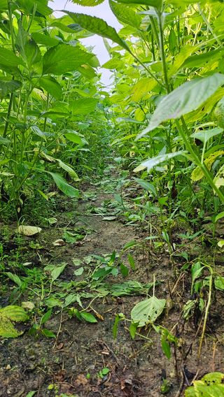 시아님의 자유주제 · 자유게시판 작성글 사진