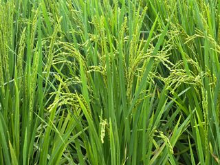 유종환님의 자유주제 · 자유게시판 작성글 사진