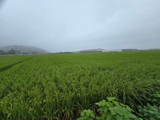 유종환님의 자유주제 · 자유게시판 작성글 사진