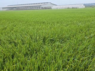 유종환님의 자유주제 · 자유게시판 작성글 사진