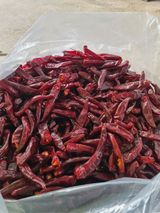 팜모닝 고추·영농일지 게시글 이미지