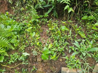 정정애님의 자유주제 · 자유게시판 작성글 사진