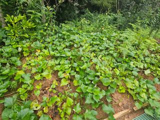 정정애님의 자유주제 · 자유게시판 작성글 사진