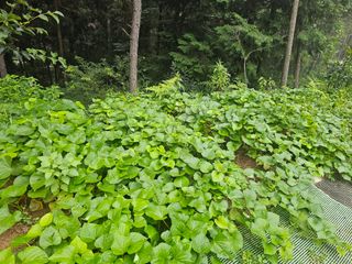 정정애님의 자유주제 · 자유게시판 작성글 사진