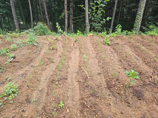 정정애님의 자유주제 · 자유게시판 작성글 사진