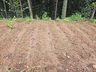 정정애님의 자유주제 · 자유게시판 작성글 사진