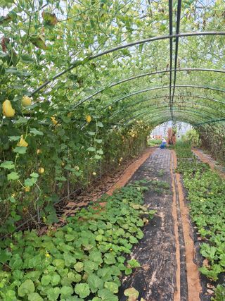 양성근님의 자유주제 · 자유게시판 작성글 사진