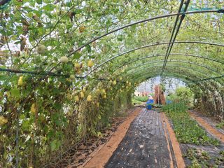 양성근님의 자유주제 · 자유게시판 작성글 사진