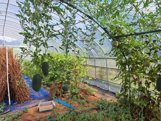 양성근님의 자유주제 · 자유게시판 작성글 사진