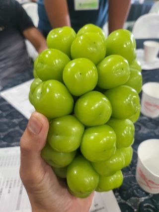 송석원님의 자유주제 · 자유게시판 작성글 사진