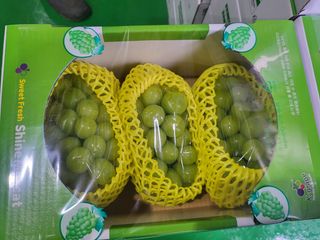 송석원님의 자유주제 · 자유게시판 작성글 사진