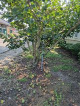 팜모닝 자유주제·자유게시판 게시글 이미지