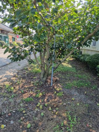 자연농원 윤상수님의 자유주제 · 자유게시판 작성글 사진