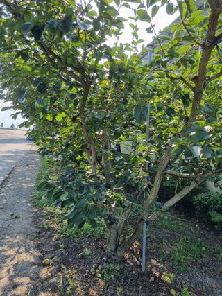 자연농원 윤상수님의 자유주제 · 자유게시판 작성글 사진