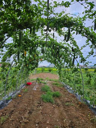 준수네님의 기타작물 · 자유게시판 작성글 사진