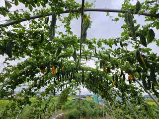 준수네님의 기타작물 · 자유게시판 작성글 사진