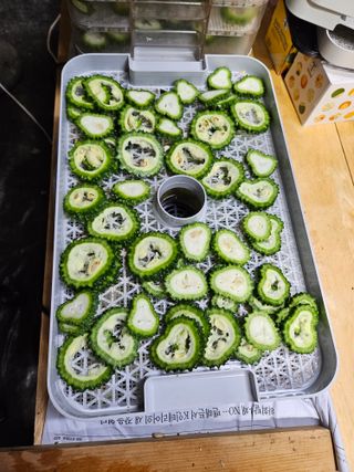 준수네님의 기타작물 · 자유게시판 작성글 사진