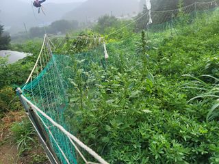 장기준님의 기타작물 · 영농일지 작성글 사진