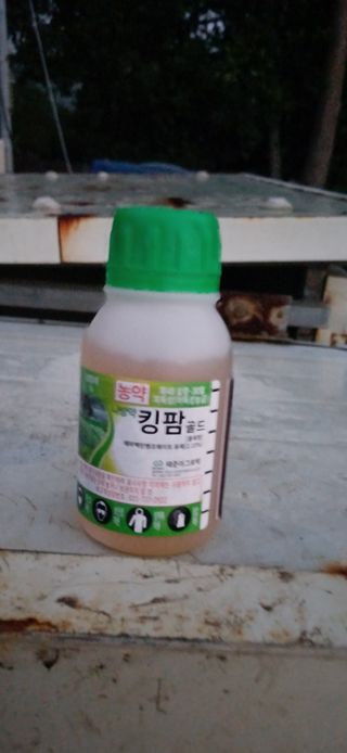 보물섬남자님의 귤 · 영농일지 작성글 사진