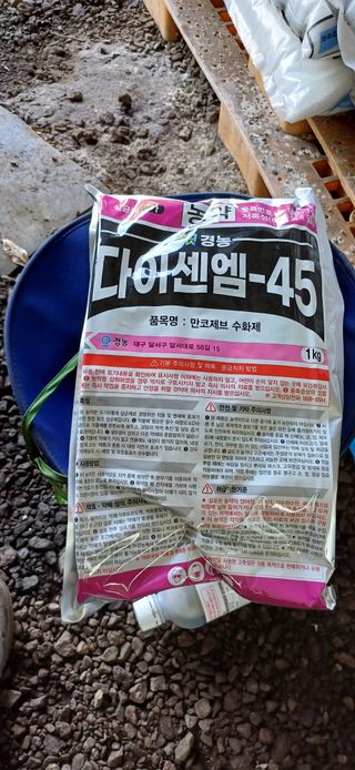 보물섬남자님의 귤 · 영농일지 작성글 사진