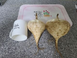 권영술님의 감자 · 영농일지 작성글 사진