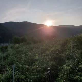 정연섭님의 자유주제 · 자유게시판 작성글 사진