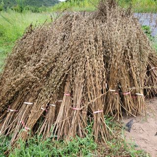 정연섭님의 자유주제 · 자유게시판 작성글 사진