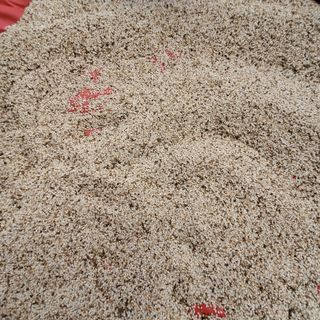 정연섭님의 자유주제 · 자유게시판 작성글 사진