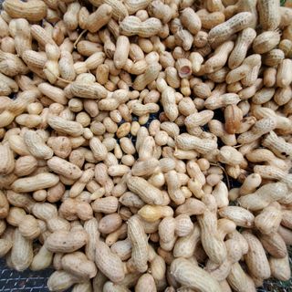 정연섭님의 자유주제 · 자유게시판 작성글 사진