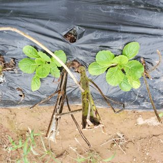 정연섭님의 자유주제 · 자유게시판 작성글 사진