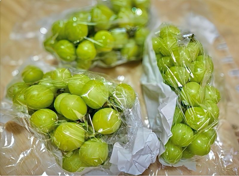 농부손녀님의 장터 판매 상품 [[당도선별] 톡.톡 초록빛 옥구슬 샤인머스켓 ] 첨부 사진