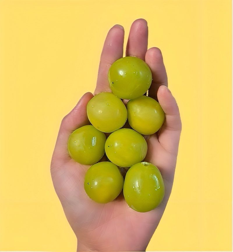 농부손녀님의 장터 판매 상품 [[당도선별] 톡.톡 초록빛 옥구슬 샤인머스켓 ] 첨부 사진