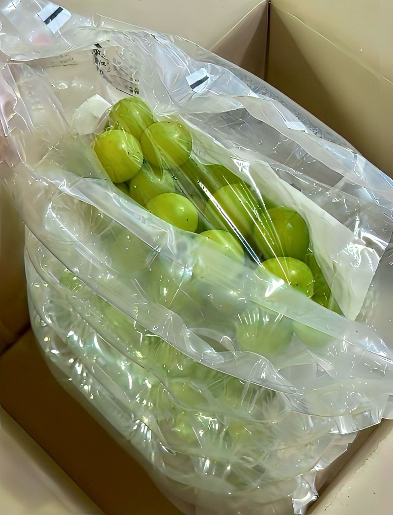 농부손녀님의 장터 판매 상품 [[당도선별] 톡.톡 초록빛 옥구슬 샤인머스켓 ] 첨부 사진