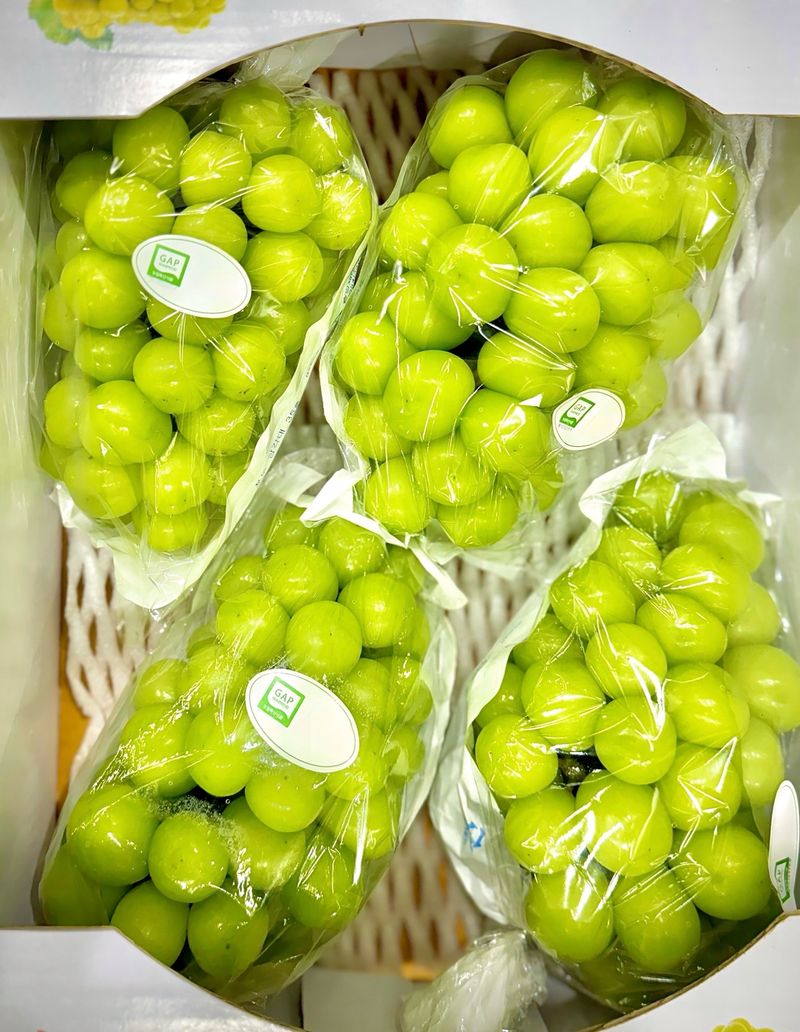 농부손녀님의 장터 판매 상품 [[당도선별] 톡.톡 초록빛 옥구슬 샤인머스켓 ] 첨부 사진