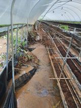 팜모닝 기타작물·영농일지 게시글 이미지