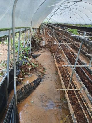 권혁태 님의 기타작물 · 영농일지 작성글 사진