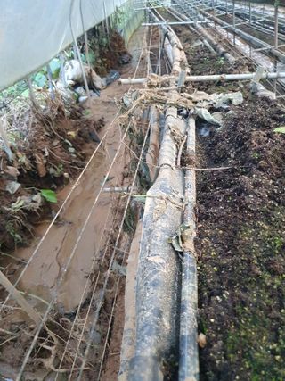 권혁태 님의 기타작물 · 영농일지 작성글 사진