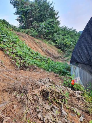 권혁태 님의 기타작물 · 영농일지 작성글 사진