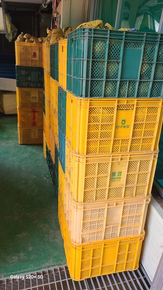 이상훈님의 배 · 영농일지 작성글 사진