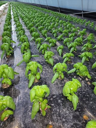 권미화님의 작성글 사진