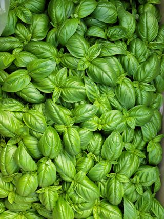 권미화님의 작성글 사진