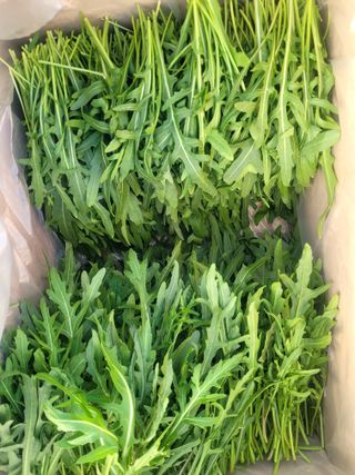 권미화님의 작성글 사진