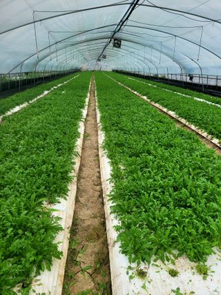 권미화님의 작성글 사진