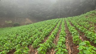 영월산지기148님의 자유주제 · 자유게시판 작성글 사진