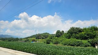 황영출님의 콩 · 영농일지 작성글 사진