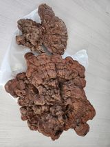 팜모닝 자유주제·자유게시판 게시글 이미지