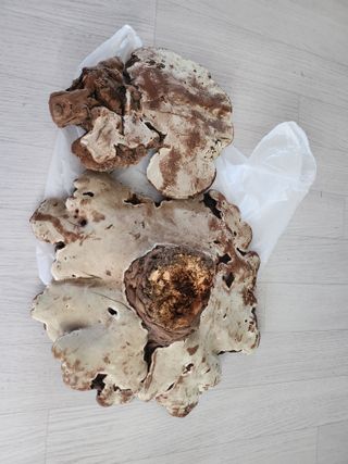 오미자청가공판매님의 자유주제 · 자유게시판 작성글 사진