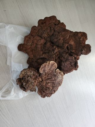 오미자청가공판매님의 자유주제 · 자유게시판 작성글 사진